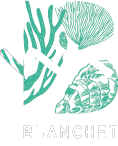 Blanchet